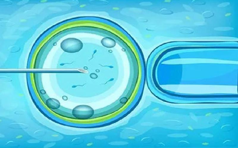 试管胚胎成活几个代生